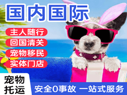 荷花机场快递国际宠物托运 【国